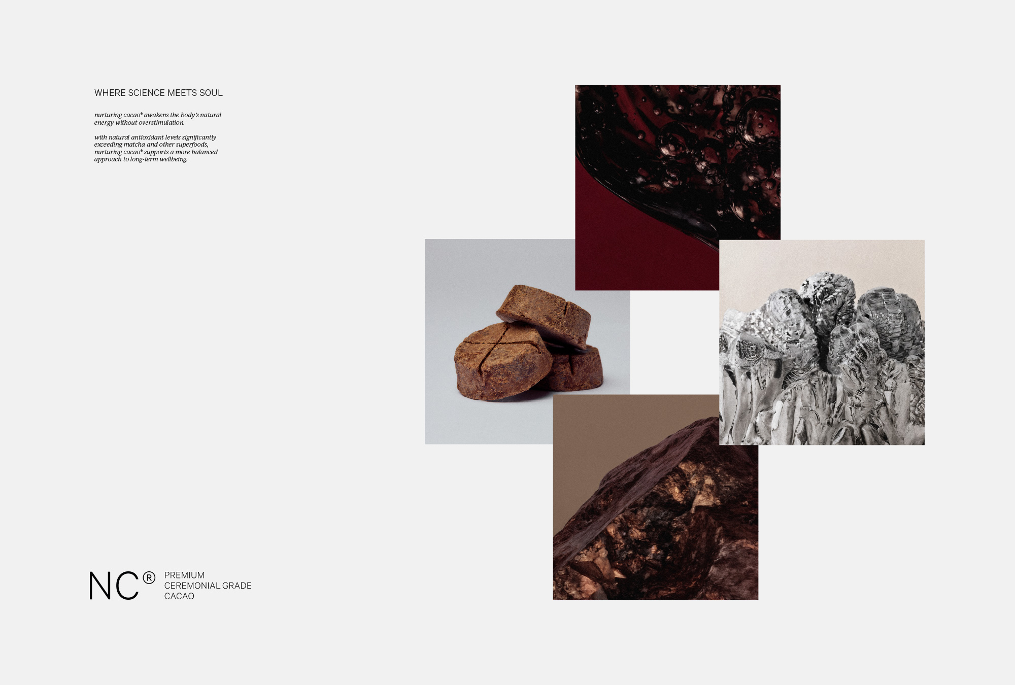 About-Emotions_Marken-Designagentur_Nurturing-Cacao_Project-Main_Compounds_Wide_001