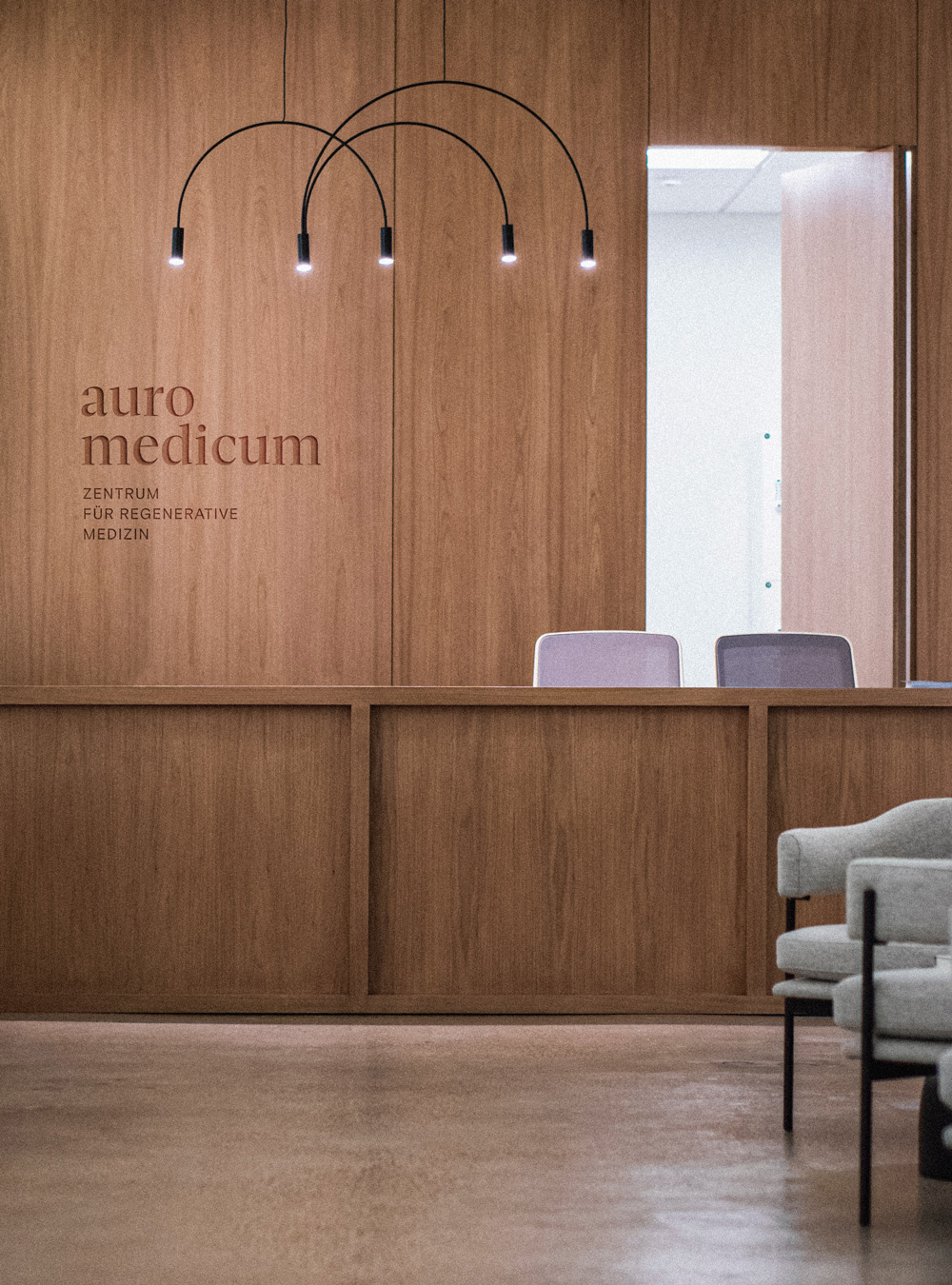 About-Emotions_Marken-Designagentur_auromedicum_Project-Main_Logo-Holz_High_001