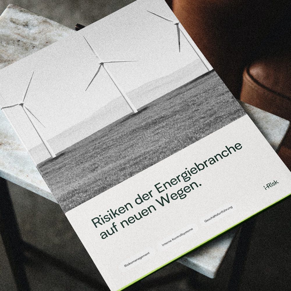 About-Emotions_Marken-Designagentur_i-Risk_Project-Main_Whitepaper_High_002