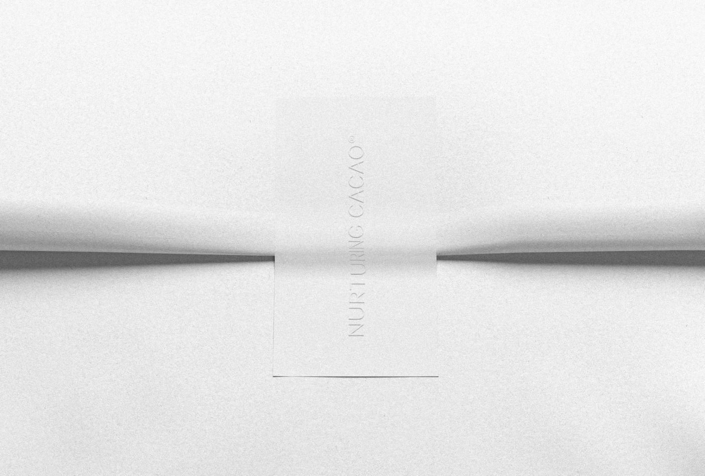 About-Emotions_Marken-Designagentur_Nurturing-Cacao_Project-Main_Packaging_Wide_003